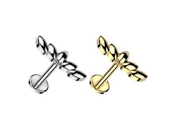 Лабрет вистерия